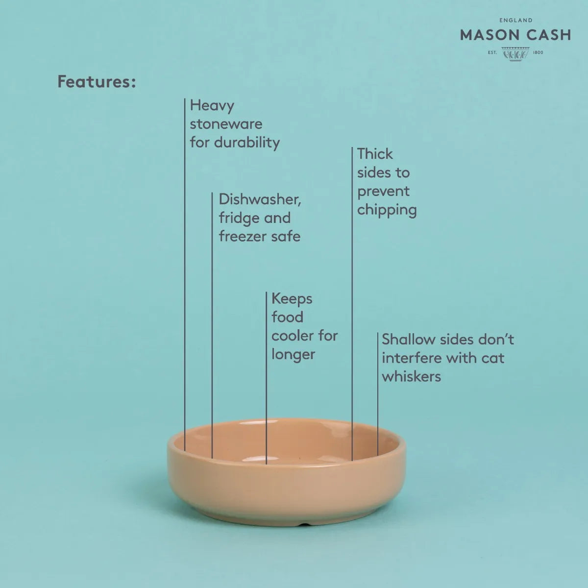 Mason Cash Cat Drinking Saucer